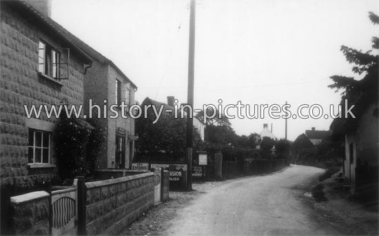 The Village, Little Chesterford, Essex. c.1930's